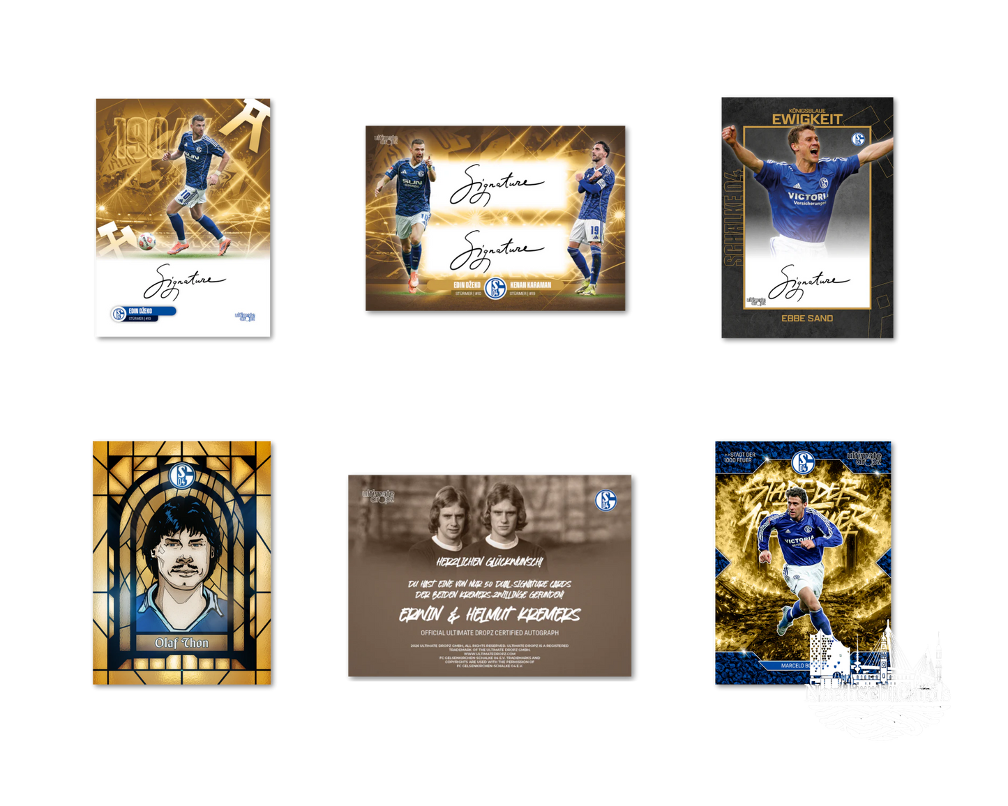 ULTIMATE DROPZ FC Schalke 04 Sammelkartenbox- EIN LEBEN LANG Schalke 04 25/26