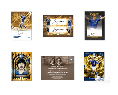 ULTIMATE DROPZ FC Schalke 04 Sammelkartenbox- EIN LEBEN LANG Schalke 04 25/26